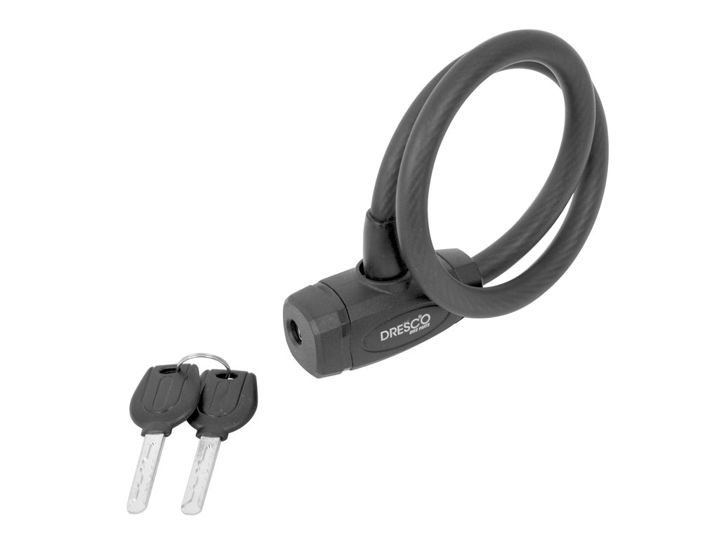 Bild von Kabelschloss mit 2 Schlüsseln