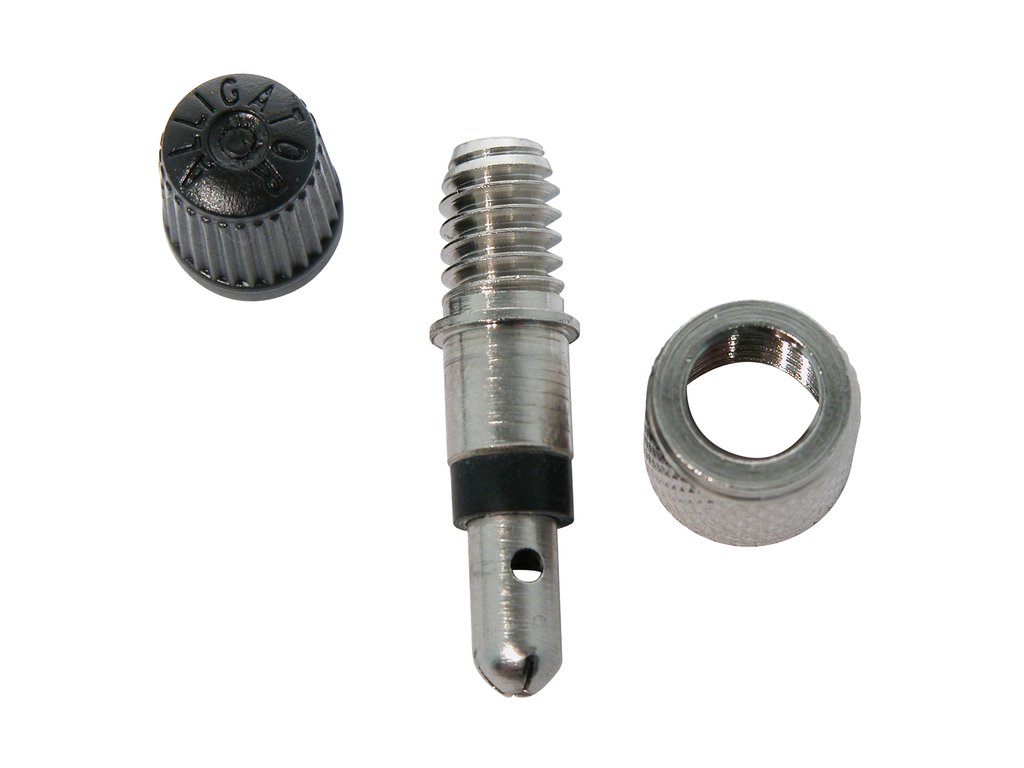 Bild von Blitzventil